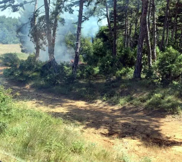 Son dakika haberi! Malkara'daki orman yangınında sabotaj şüphesi