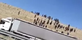 Niğde'yi karıştıran görüntü! Onlarca göçmen tırdan inip yerleşim yerlerine dağıldı