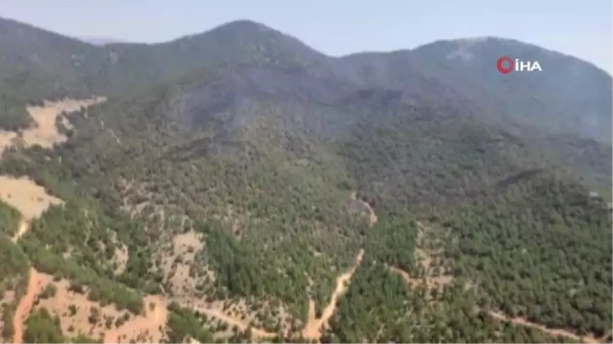 Orman yangını 3. gününde kontrol altına alındı