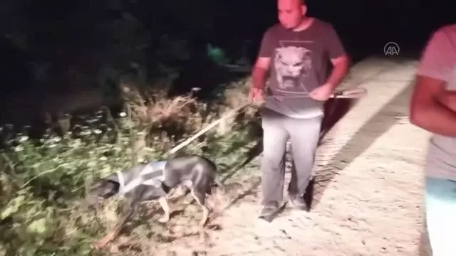 Sulama kanalına düşen çocuk kayboldu