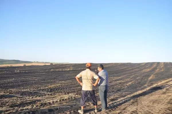 Son dakika haberleri | Tekirdağ'da 400 kovan arı, anız yangınından son anda kurtarıldı