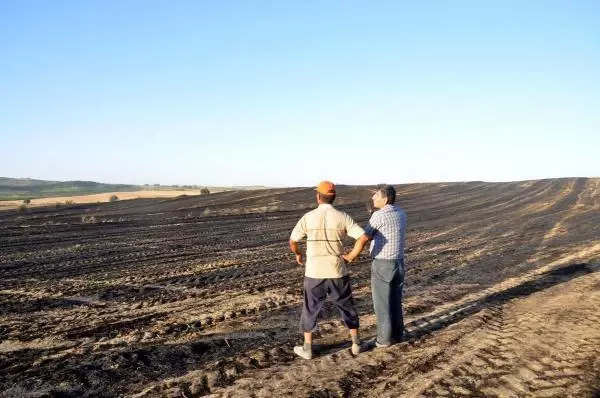Son dakika haberleri | Tekirdağ'da 400 kovan arı, anız yangınından son anda kurtarıldı