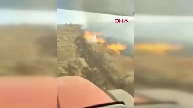 Son dakika haberleri | Tekirdağ'da 400 kovan arı, anız yangınından son anda kurtarıldı