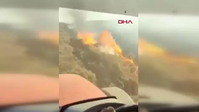 Son dakika haberleri | Tekirdağ'da 400 kovan arı, anız yangınından son anda kurtarıldı