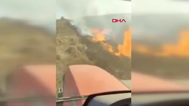 Son dakika haberleri | Tekirdağ'da 400 kovan arı, anız yangınından son anda kurtarıldı