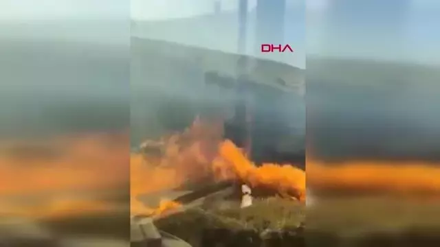 Son dakika haberleri | Tekirdağ'da 400 kovan arı, anız yangınından son anda kurtarıldı