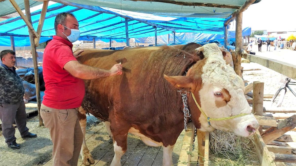 1.4 tonluk 'Şampiyon' pazarın gözdesi