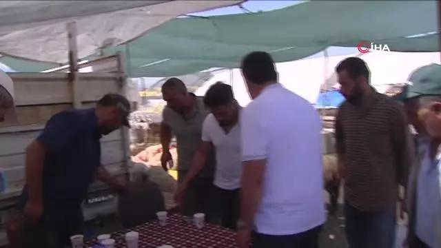 TUDKİYEB Başkanı Çelik: Küçükbaş kurbanın karkas ağırlığı en az 22 kg olmalı