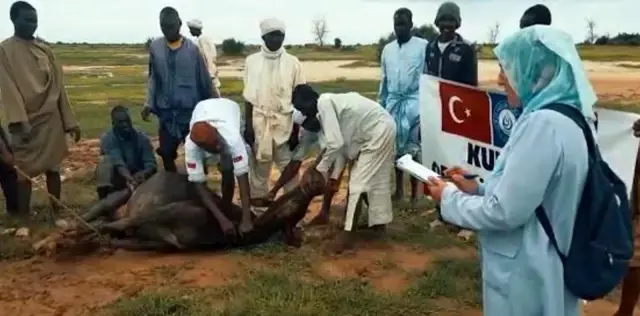 Türkiye Afrika'ya kurban olacak