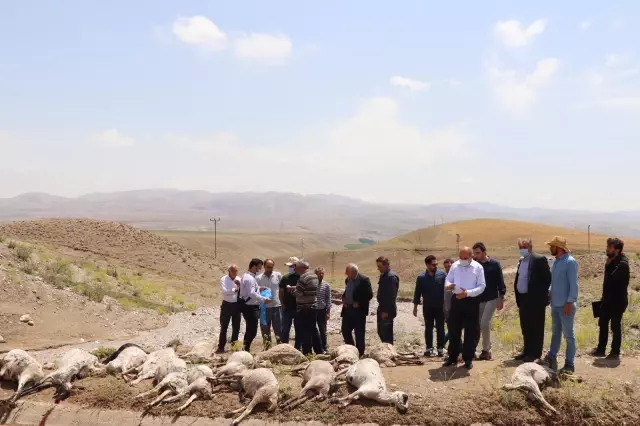 Başkale'de hasar tespit çalışmaları sürüyor