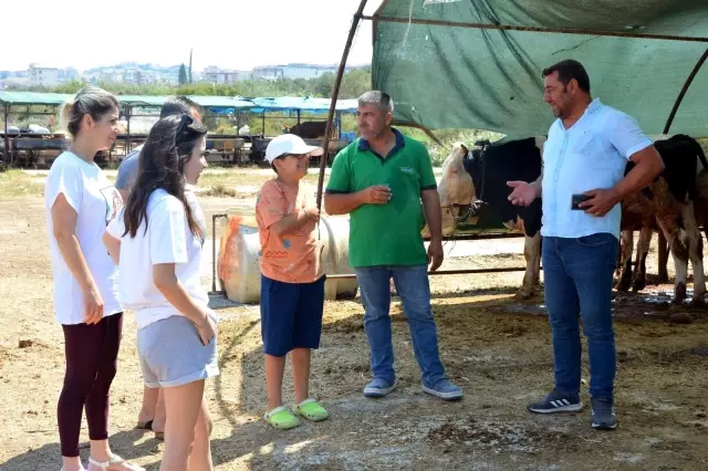 Büyükbaş ve Küçükbaş Kurbanlıklar Alıcılarını Bekliyor