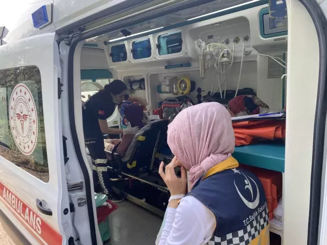 Anadolu Otoyolu'nda devrilen otomobildeki 3 kişi yaralandı