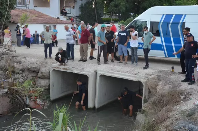 Kaybolan 2 yaşındaki küçük kızı arama çalışmaları (2)