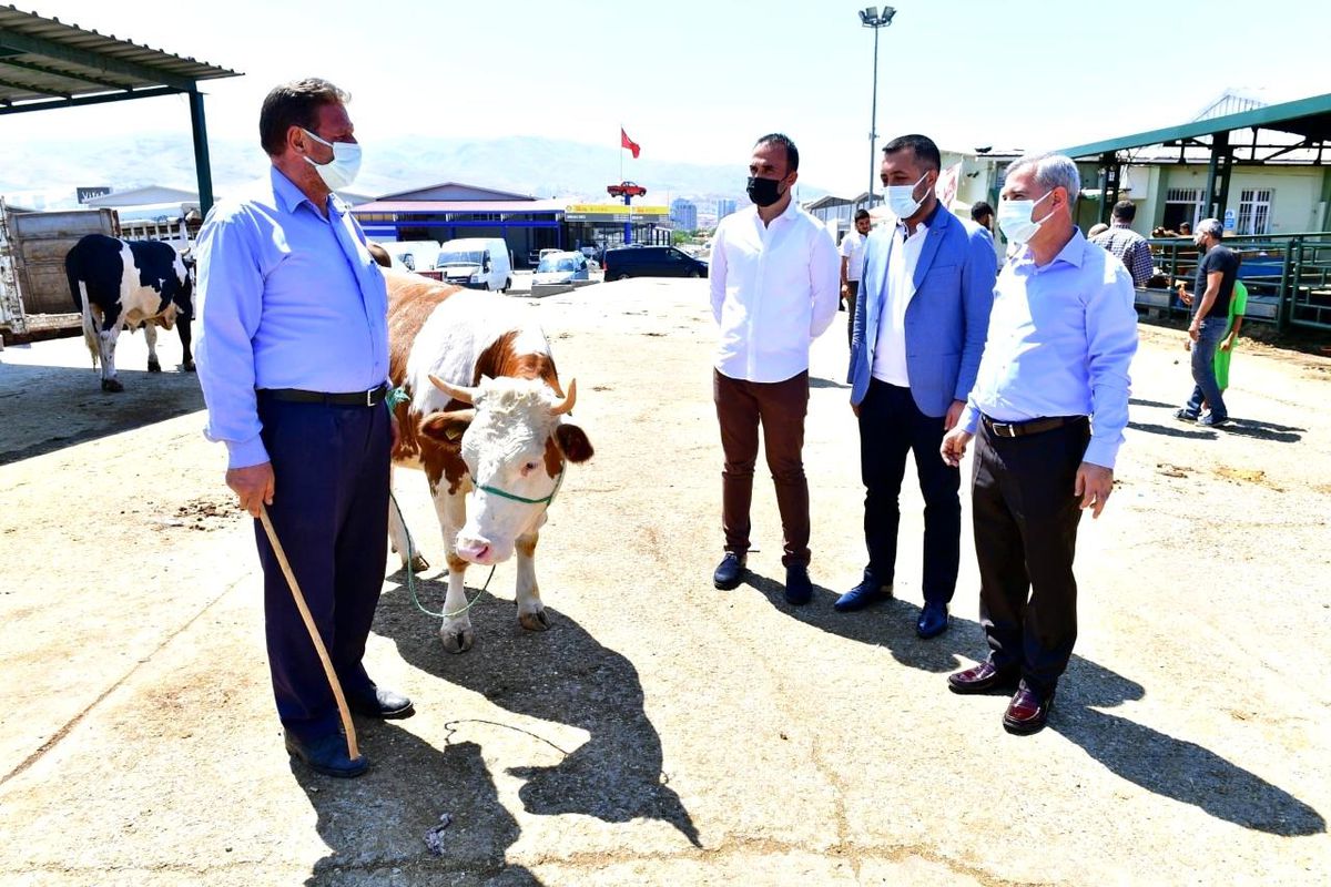 Başkan Çınar, canlı hayvan pazarında inceleme yaptı