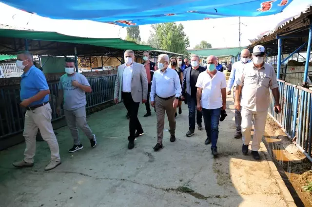 Başkan Erdem'den hayvan pazarına ziyaret Başkan Erdem'den hayvan pazarına ziyaret