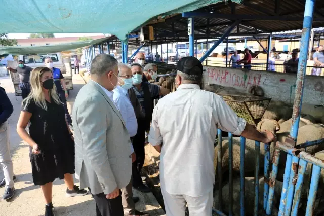 Başkan Erdem'den hayvan pazarına ziyaret