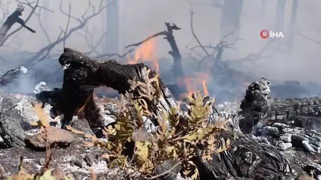 Bayramda piknik ateşine dikkat