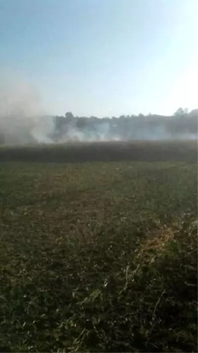 Biçerdöverciye kızdı, buğday ekili tarlasını yaktı