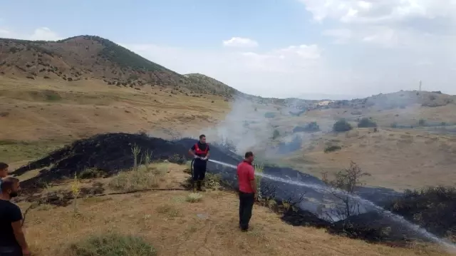 Son dakika haberleri! Bingöl'de anız yangını ormana sıçramadan söndürüldü