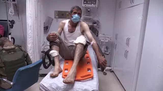 Bozayı saldırısına uğrayan kişi yaralandı