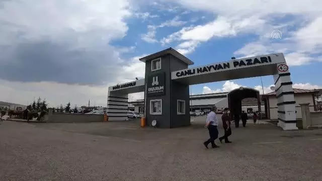 Canlı hayvan pazarında hareketlilik arttı Canlı hayvan pazarında hareketlilik arttı