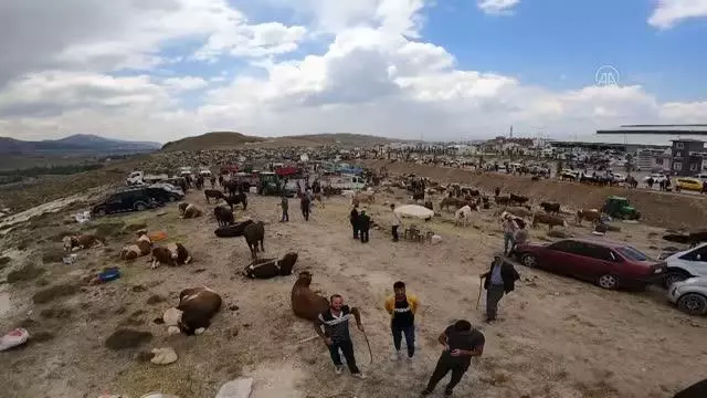 Canlı hayvan pazarında hareketlilik arttı