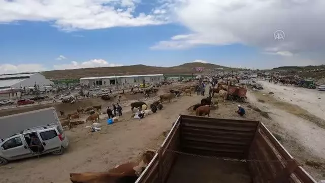 Canlı hayvan pazarında hareketlilik arttı