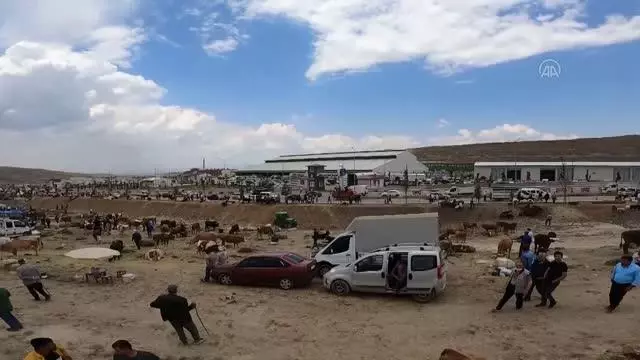 Canlı hayvan pazarında hareketlilik arttı