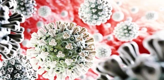 Çin, 'Monkey B' virüsünden ilk can kaybını bildirdi