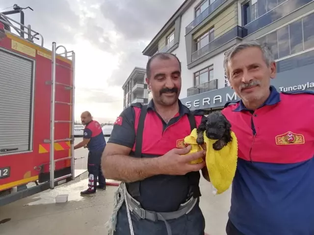 İtfaiye ekipleri kanalizasyona düşen köpek yavrusu için seferber oldu