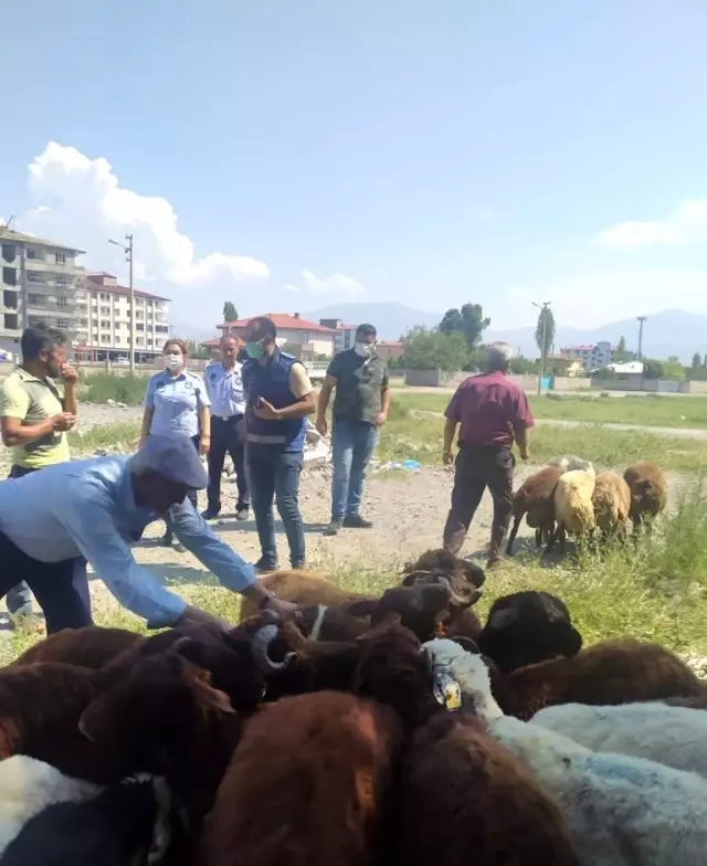 Iğdır'da zabıta ekipleri Kurban Bayramı öncesi denetimlerini sıklaştırdı