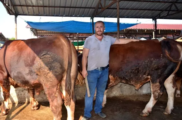 İkiz boğalar pazarın gözdesi oldu