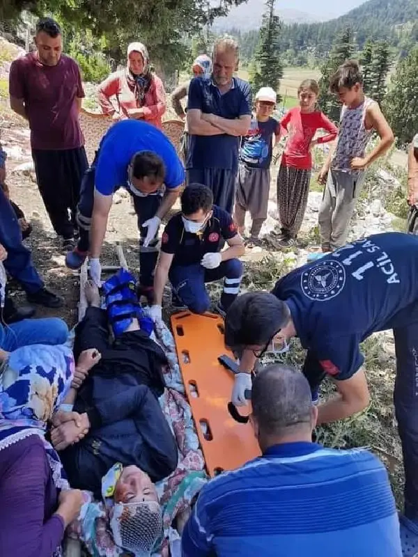 İnternet çekmediği için çıktığı ağaçtan düşüp ağır yaralandı