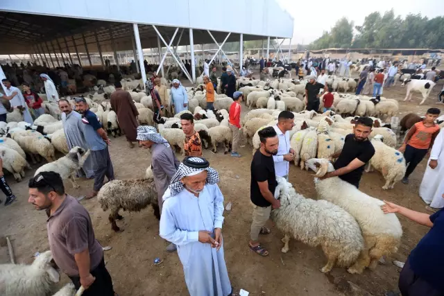 Irak'ta Kovid-19 ölümleri kurbanlık satışlarını artırdı