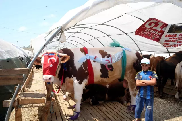 Kurban pazarlarındaki hareketlilik devam ediyor