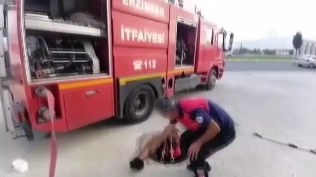 İtfaiye ekipleri kanalizasyona düşen köpek yavrusu için seferber oldu