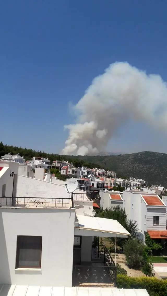 İzmir'de makilik alanda çıkan orman yangını kontrol altında
