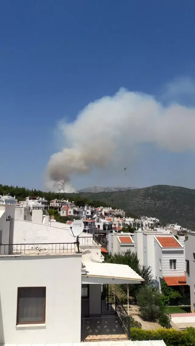 İzmir'de makilik alanda çıkan orman yangını kontrol altında