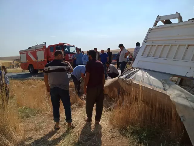 Kahramanmaraş'ta kamyonet ile traktör çarpıştı: 3 yaralı Kahramanmaraş'ta kamyonet ile traktör çarpıştı: 3 yaralı