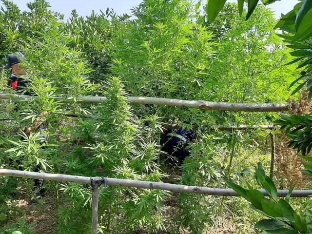 Son dakika: KAHRAMANMARAŞ - Uyuşturucu operasyonlarında yakalanan 7 şüpheliden 1'i tutuklandı