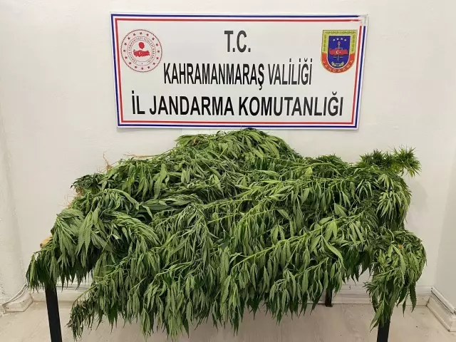Son dakika: KAHRAMANMARAŞ - Uyuşturucu operasyonlarında yakalanan 7 şüpheliden 1'i tutuklandı