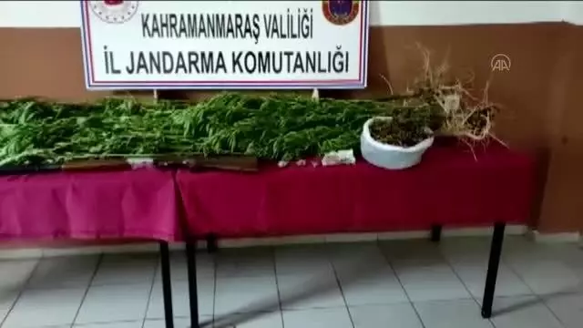 Son dakika: KAHRAMANMARAŞ - Uyuşturucu operasyonlarında yakalanan 7 şüpheliden 1'i tutuklandı Son dakika: KAHRAMANMARAŞ - Uyuşturucu operasyonlarında yakalanan 7 şüpheliden 1'i tutuklandı