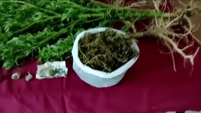Son dakika: KAHRAMANMARAŞ - Uyuşturucu operasyonlarında yakalanan 7 şüpheliden 1'i tutuklandı
