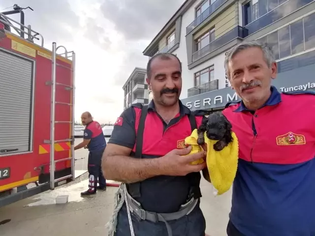 İtfaiye ekipleri kanalizasyona düşen köpek yavrusu için seferber oldu