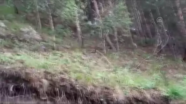 Kaybolan çocuk ormanda bulundu
