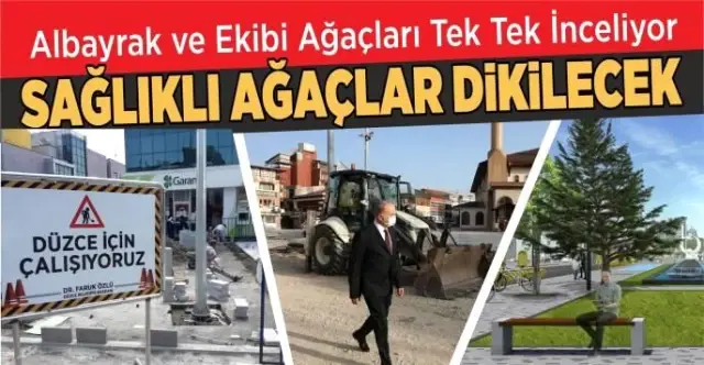 KENT ESTETİĞİNE UYGUN SAĞLIKLI AĞAÇLAR DİKİLECEK KENT ESTETİĞİNE UYGUN SAĞLIKLI AĞAÇLAR DİKİLECEK