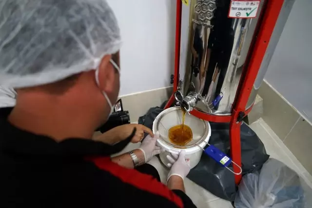 Kestane balı hasadı başlandı