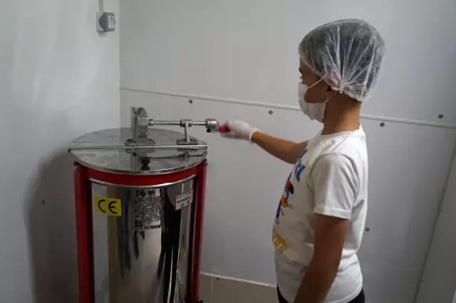 Kestane balı hasadı başlandı