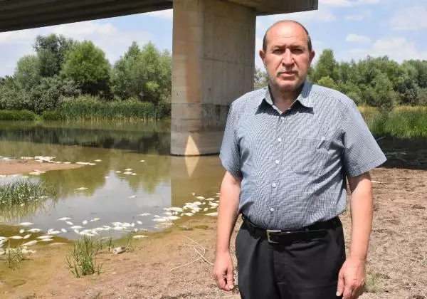 Son dakika haberi: KIZILIRMAK'TAKİ BALIK ÖLÜMLERİNİN NEDENİ, OKSİJEN AZLIĞI