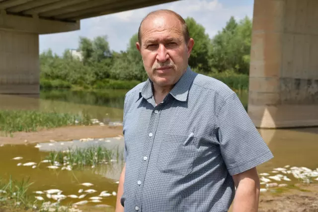 Son dakika haberi! Kızılırmak'taki balık ölümlerinin 'sudaki oksijen yetersizliği'nden kaynaklandığı belirlendi Son dakika haberi! Kızılırmak'taki balık ölümlerinin 'sudaki oksijen yetersizliği'nden kaynaklandığı belirlendi